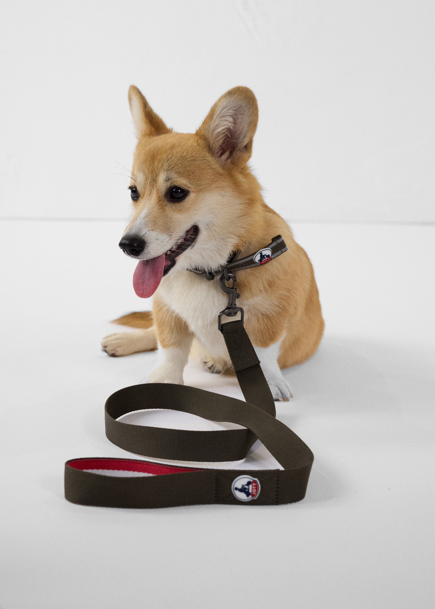 Laisse pour chien Army Max