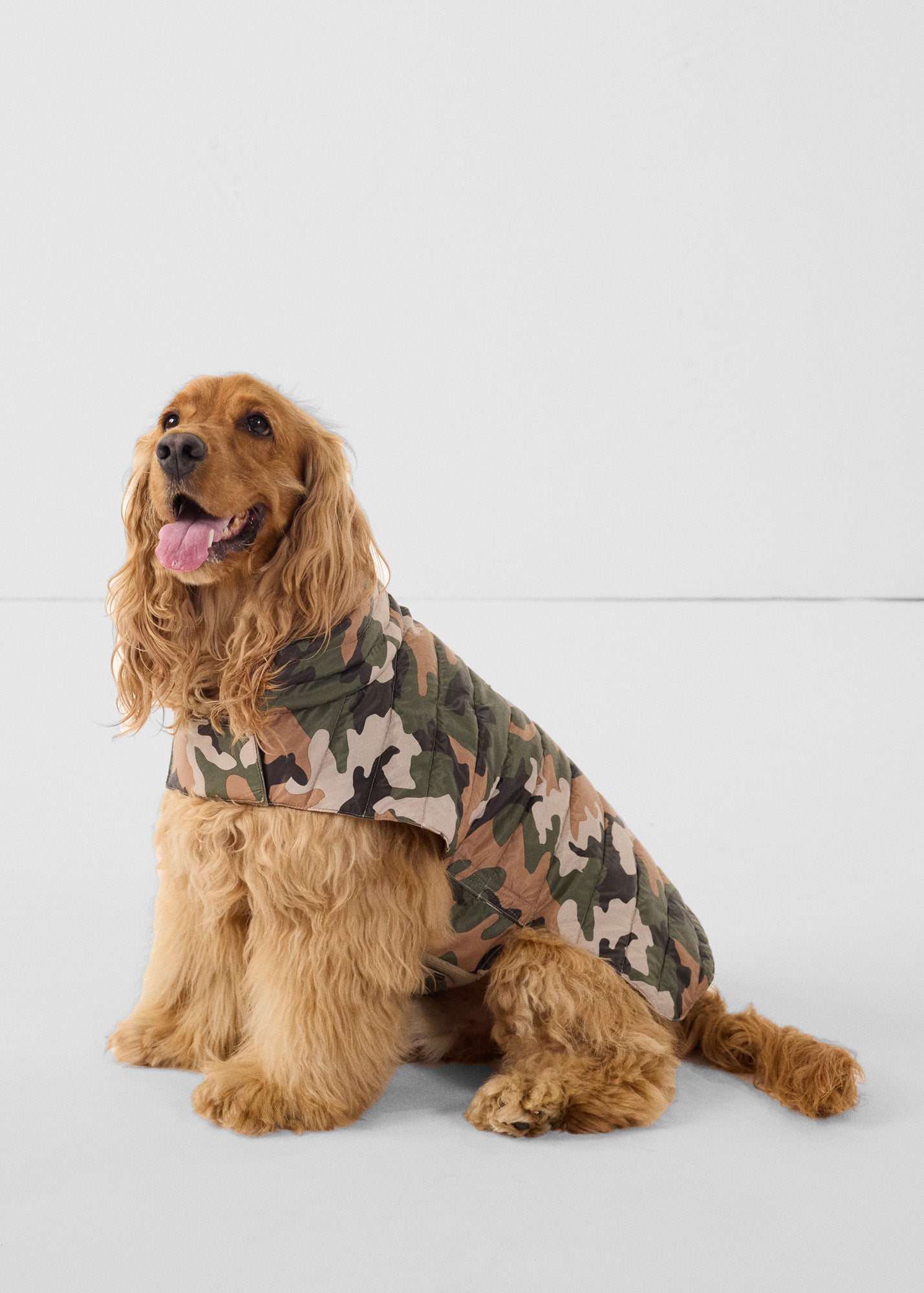 Doudoune pour chien Camo sucre roux Cutie print