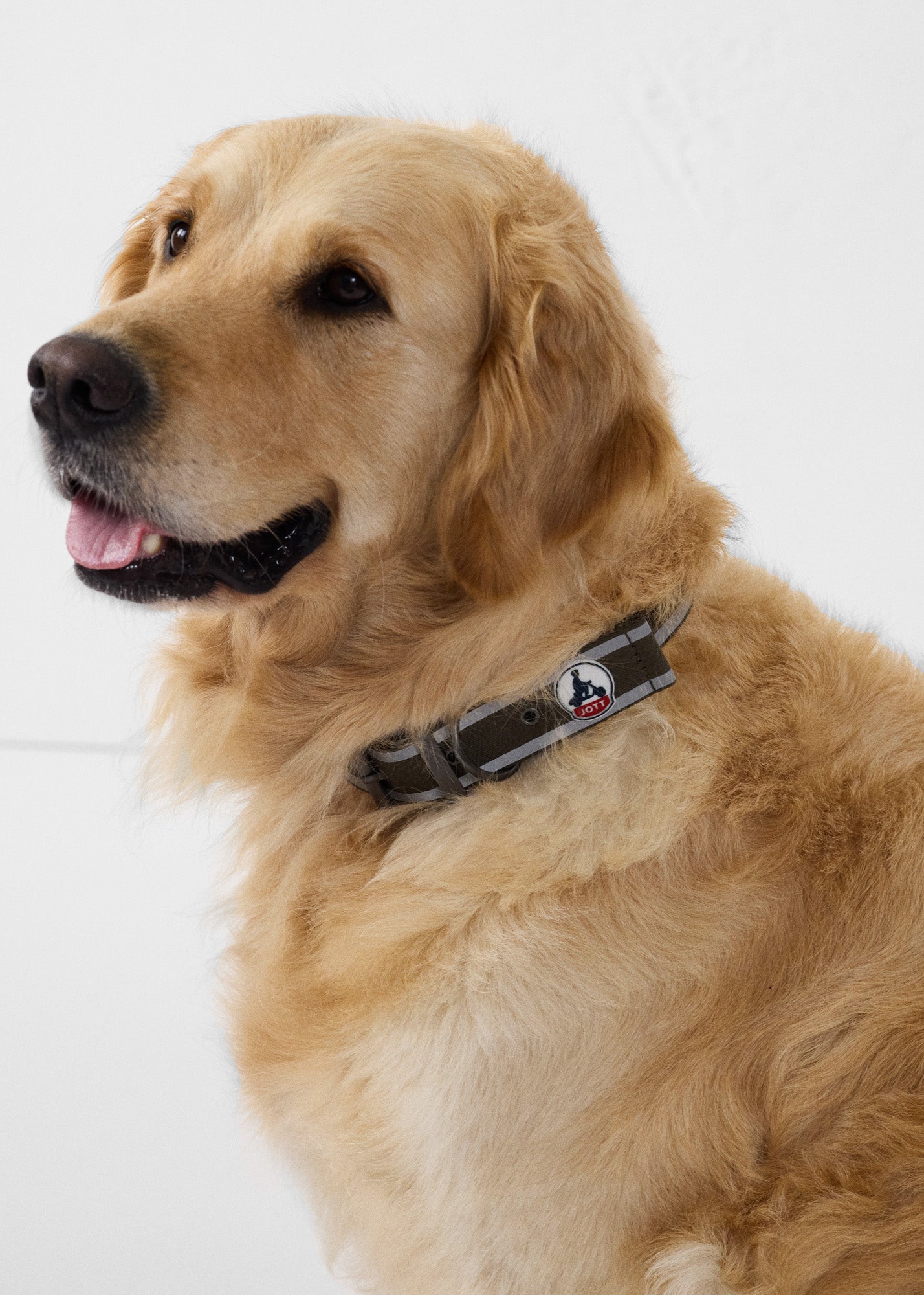 Collier pour chien Army Pancho